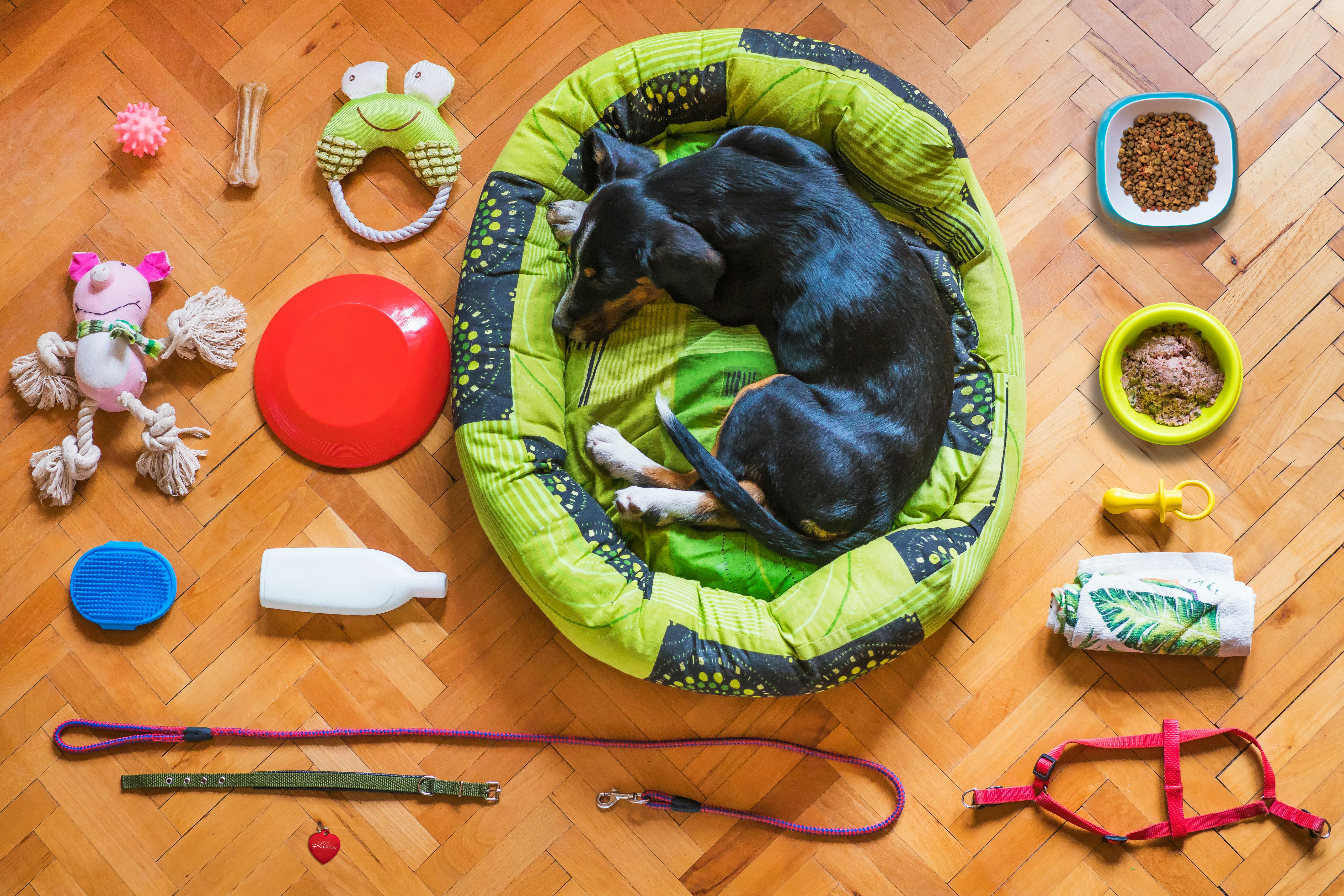 PetShop - Categoria de produtos